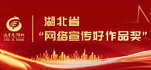 湖北省“網絡宣傳好作品獎”